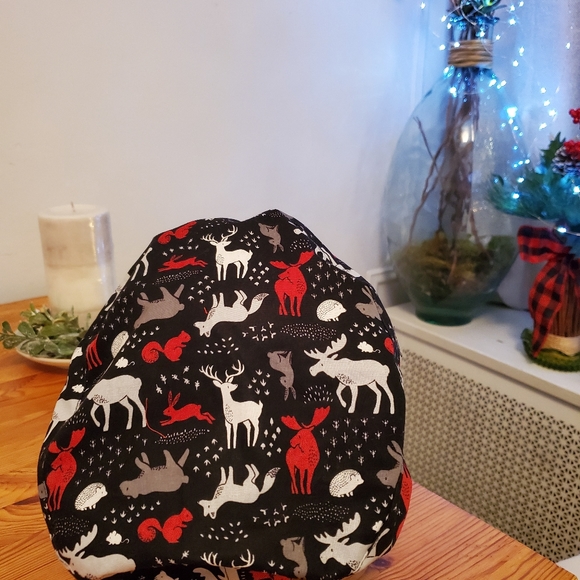 Scrub-hats Wildlife - Picture 7 of 9